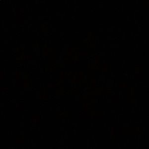 Meet your Posher, Kylee